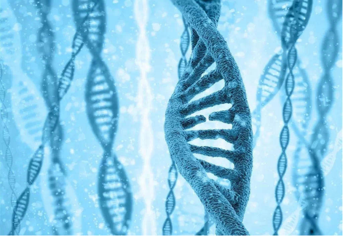 36828906-72a2-2e38-14ee-8199d2bbf556.png image.png